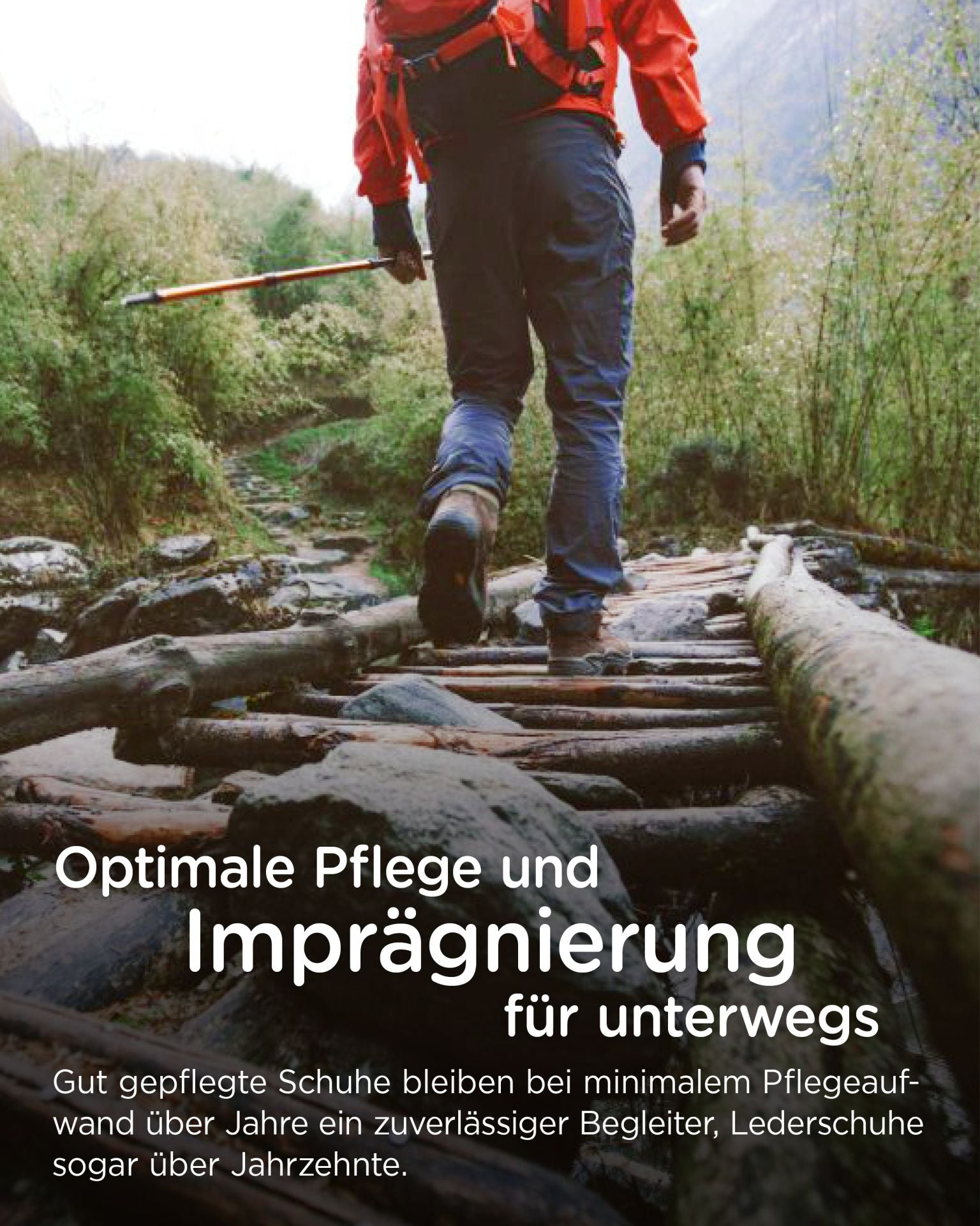 ShoeWax Eco
